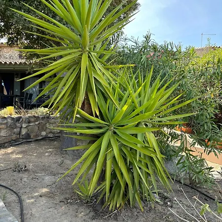 105 Tatil Evi